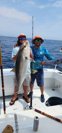 Amberjack Time On Championship Offshore