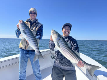 Dennis Report Photo 2