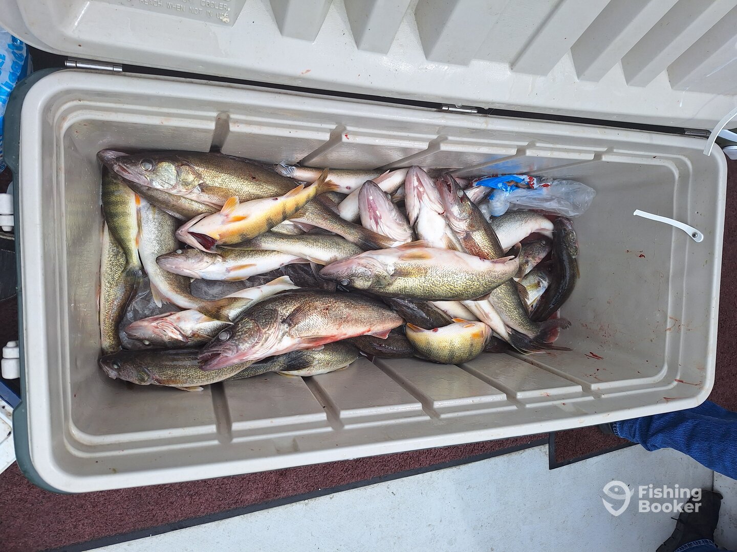 Port Clinton Report Photo 0