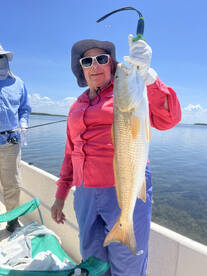 Crystal River Verslag Foto 2