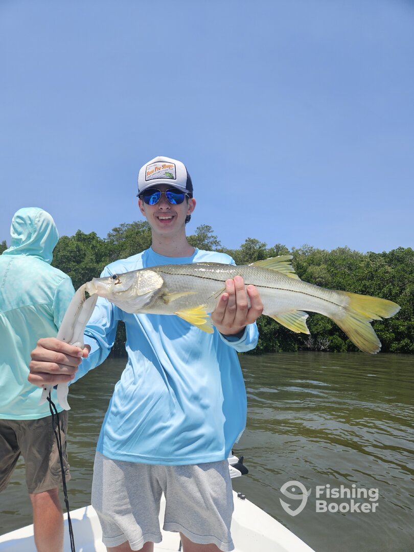 Sarasota Report Photo 0