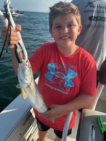 Murrells Inlet Report Photo 1