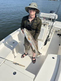 Clearwater Report Photo 1