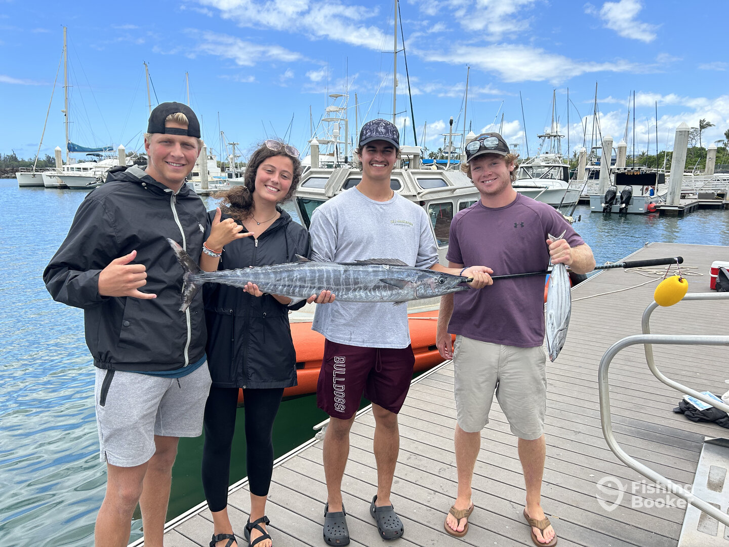 Haleiwa Report Photo 0