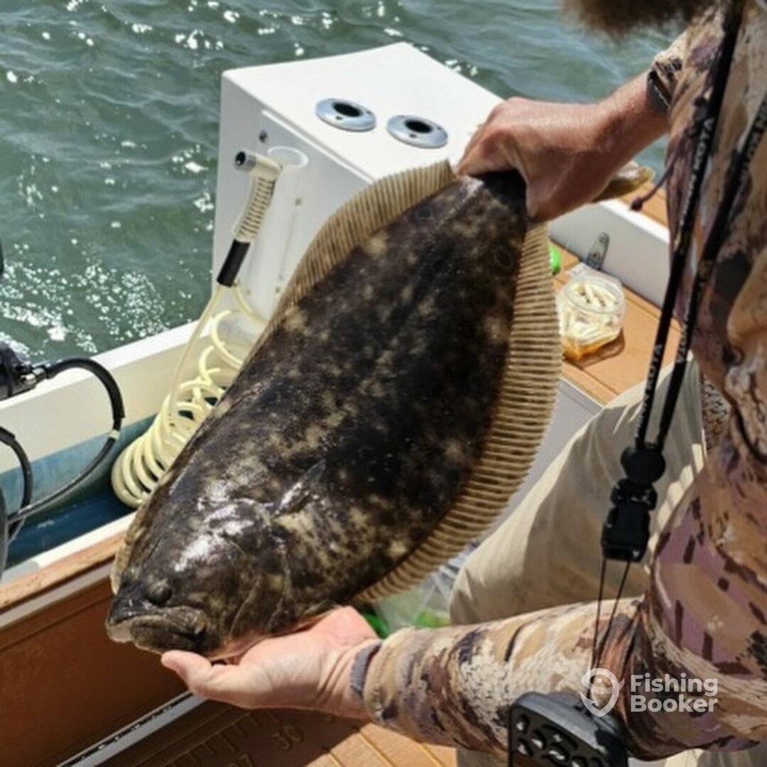 Stone Harbor Report Photo 0