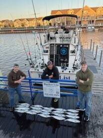 Coho salmon are in town!