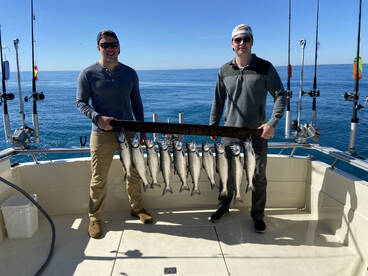 Fishing is HOT in Waukegan