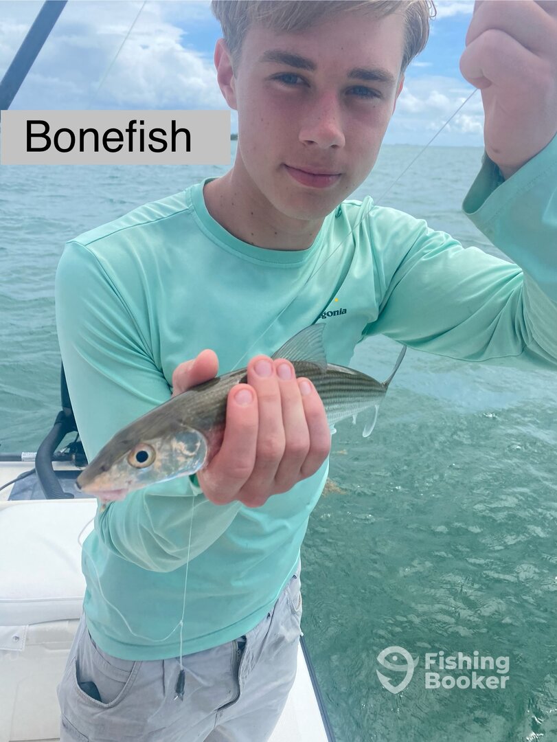 Fajardo Report Photo 0