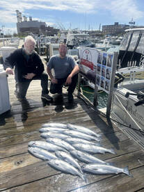 Port Washington Report Photo 1