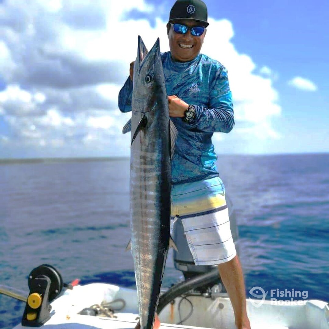 Today's catch a majestic fish from the deep blue!