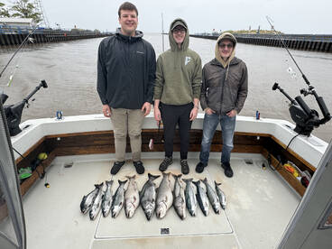 Mixed bag in the rain! 