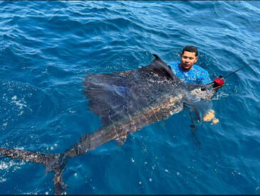 Playa Flamingo Report Photo 2