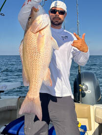 Shalimar Report Photo 1