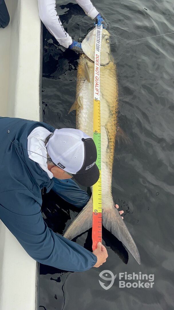 San Juan Report Photo 0