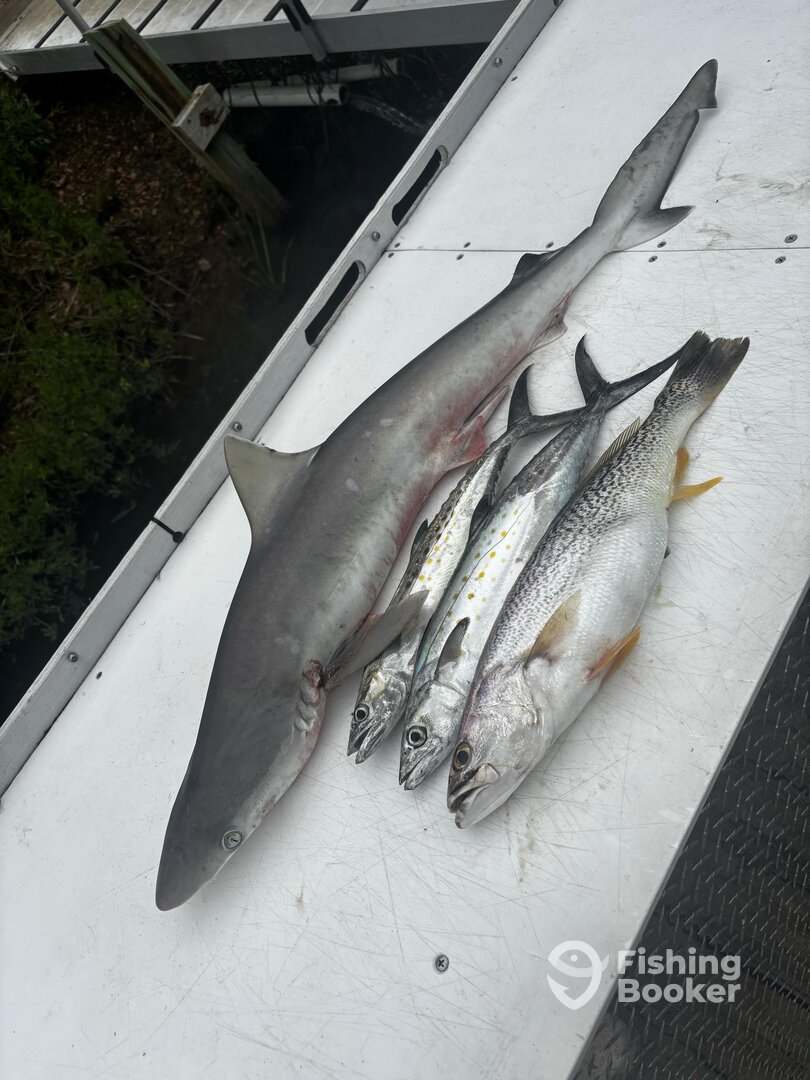 Murrells Inlet Report Photo 0