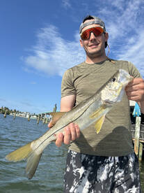 Snook action 