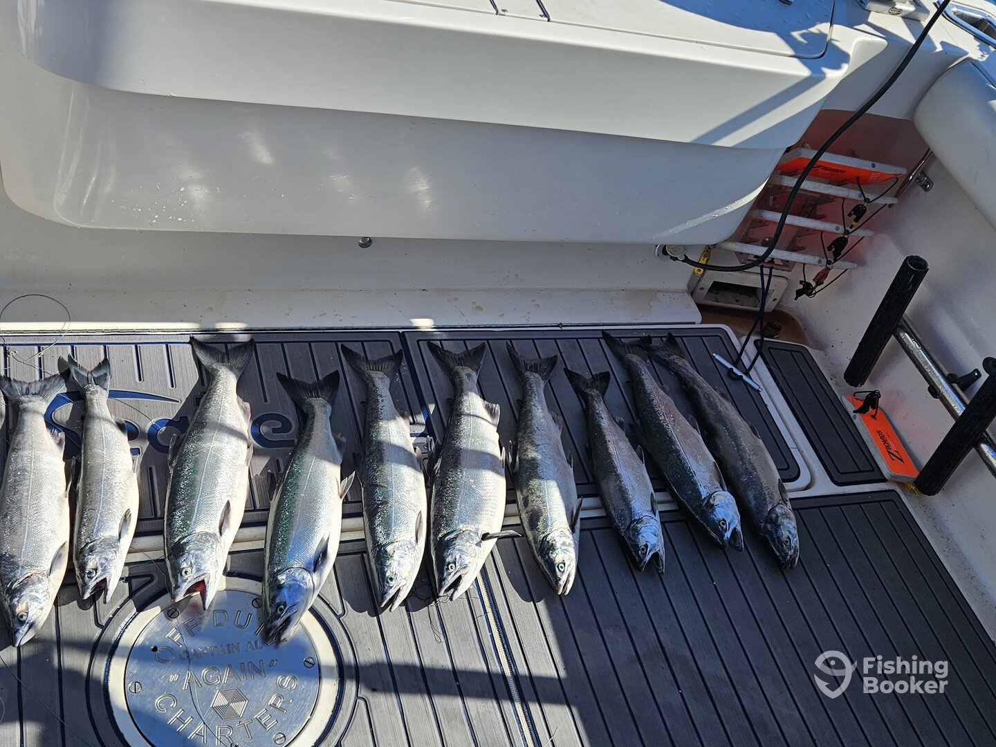 Sheboygan Report Photo 0