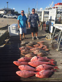 Red snapper is open june1 and also red g