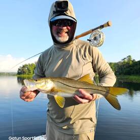 Jacks, snook and peacock bass