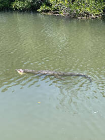 Key Largo Report Photo 1