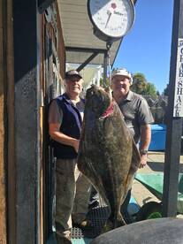 Customers land a 56.5lb halibut!