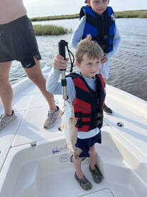 St. Bernard Report Photo 1