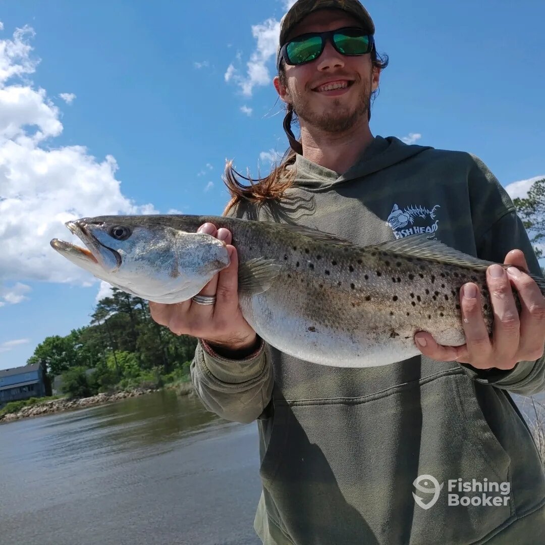 Manteo Report Photo 0