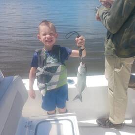 Manteo Report Photo 1