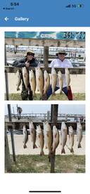 Port Aransas Report Photo 1