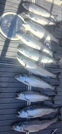 Coho fishing is on fire!