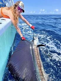 Quepos Report Photo 2