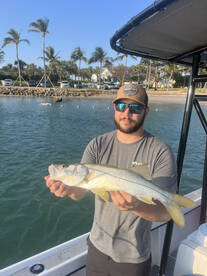 Jupiter Report Photo 1