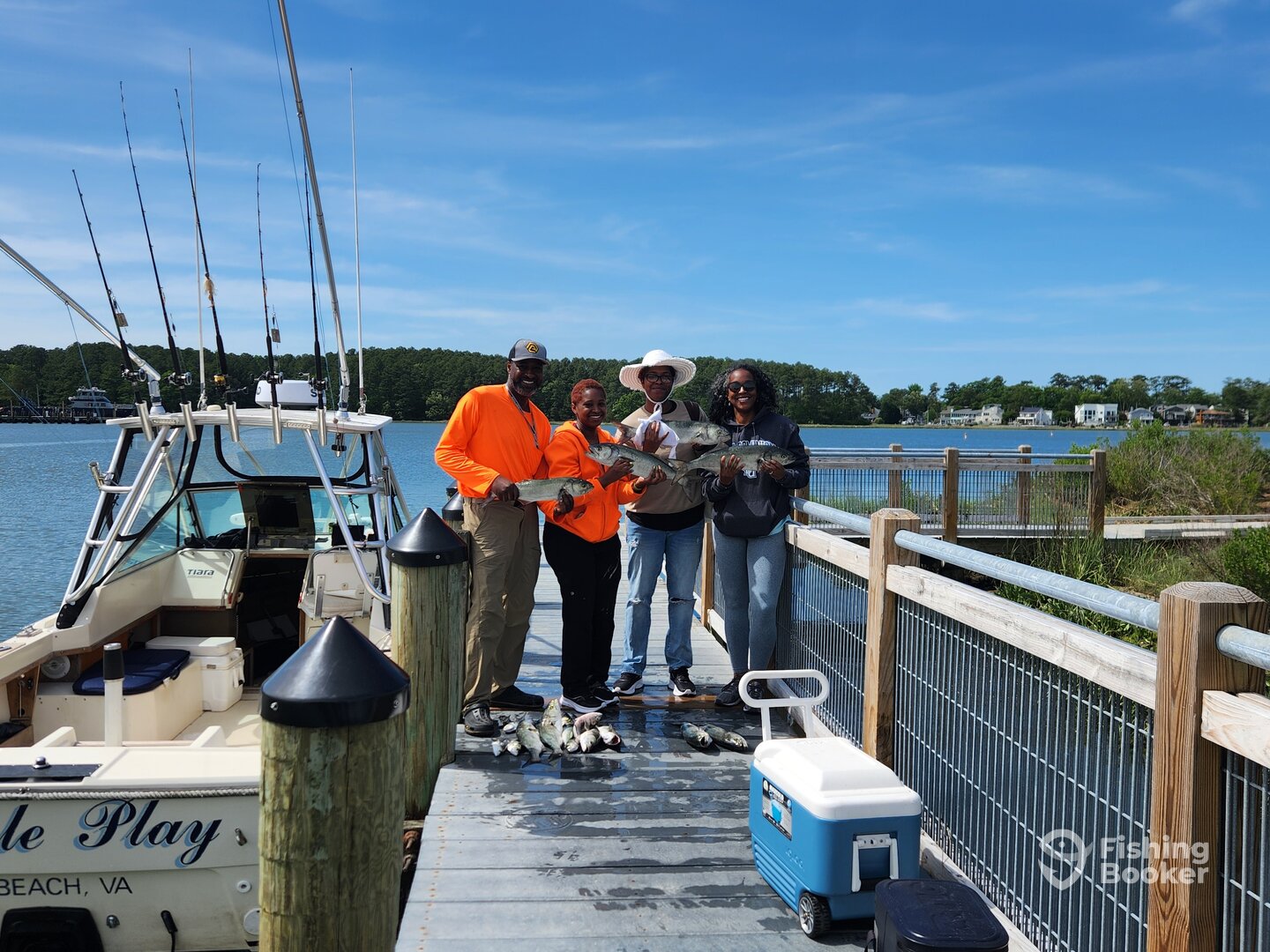 Virginia Beach Report Photo 0