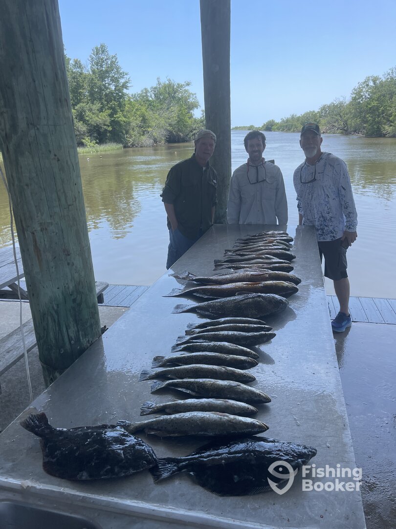 St. Bernard Report Photo 0