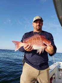 St. Bernard Report Photo 2