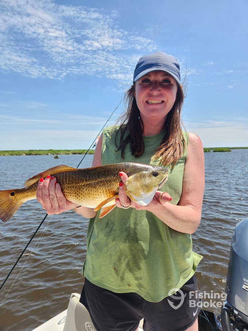 St. Bernard Report Photo 0