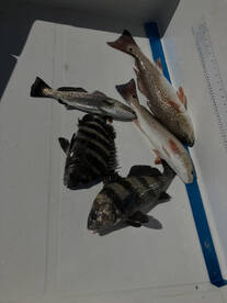 Fernandina Beach Report Photo 2