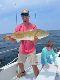 Calabash Report Photo 1