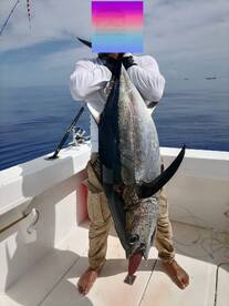 Nice 50 pounds albacore tuna and a Dorad