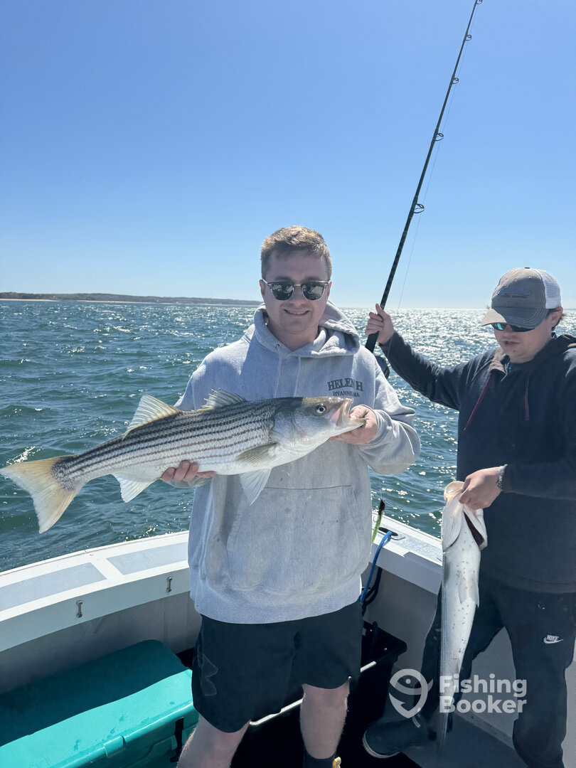 Falmouth Report Photo 0