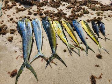 Trou Aux Biches Report Photo 1