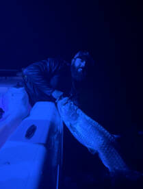 Tarpon  without the florida heat !! 