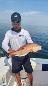 Panama City Report Photo 2