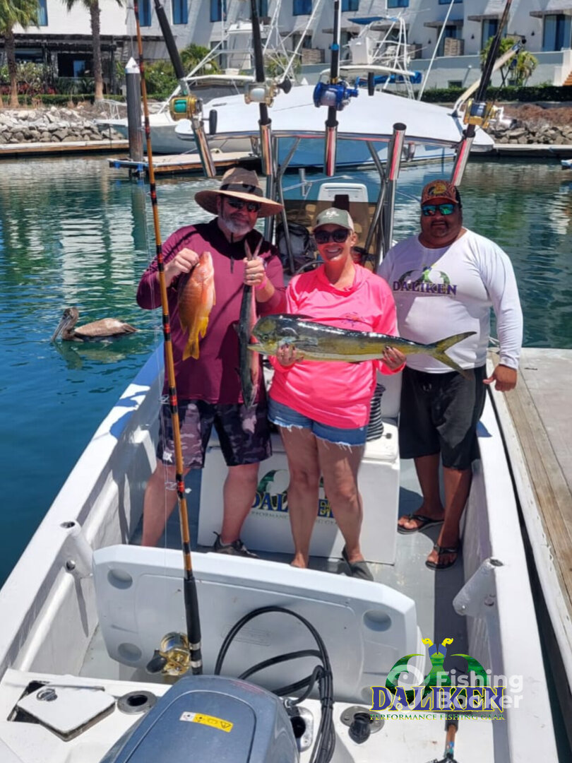 San Jose del Cabo Report Photo 0