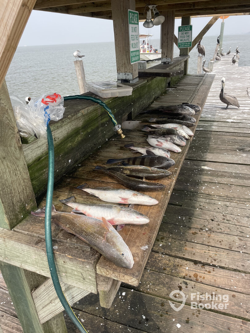 Houston Report Photo 0