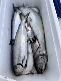 May fishing report 5-13-24