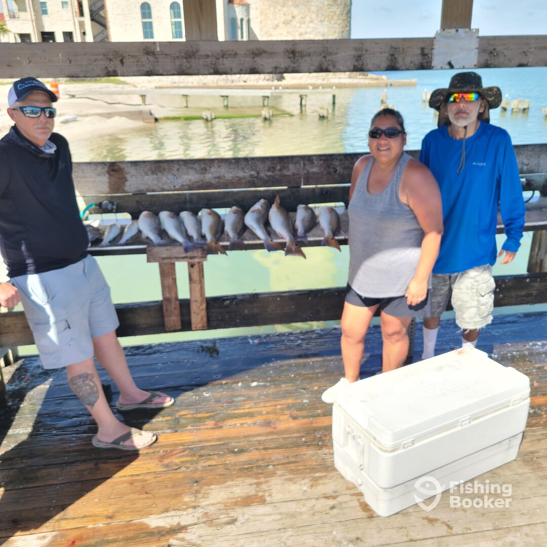 Aransas Pass Report Photo 0