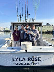 Gloucester Report Photo 1