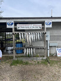 St. Joseph Report Photo 2