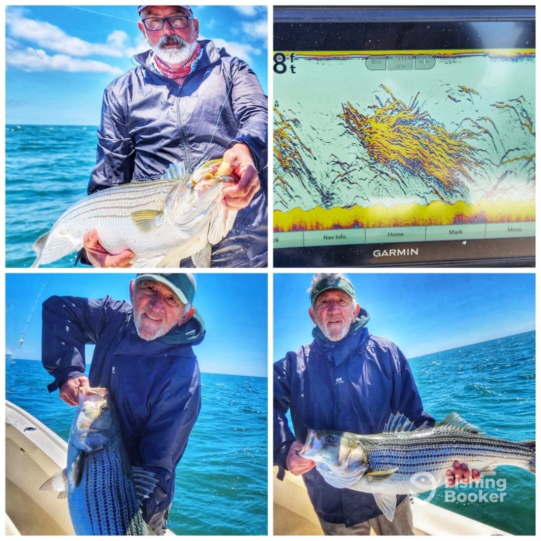 Montauk Report Photo 0